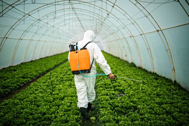 Best Local Pest Control Services  in Adelphi, MD