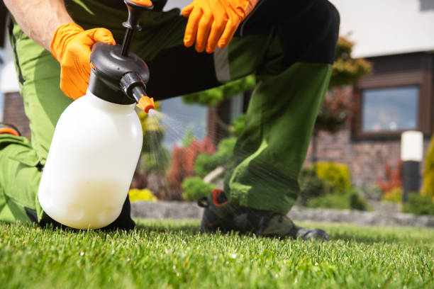 Best Pest Removal Services  in Adelphi, MD