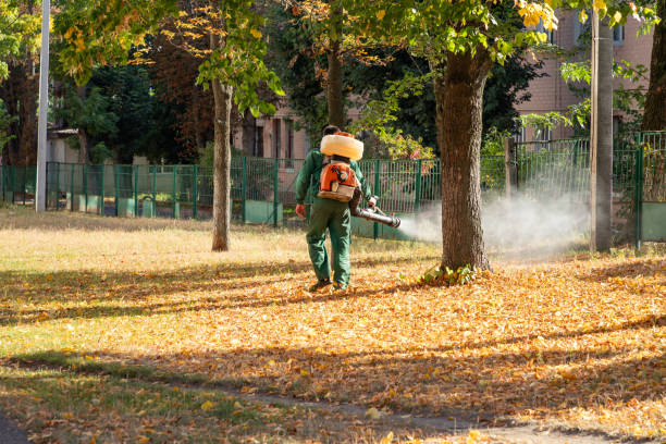 Best Pest Removal Services  in Adelphi, MD