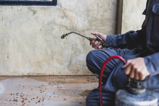 Best Affordable Pest Control Services  in Adelphi, MD